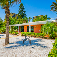 Treasure Island Homes